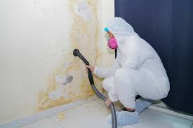 Best Mold Removal for HVAC Installations  in Littlefield, TX